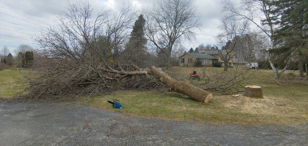 20200322_130816_HDR.jpg
