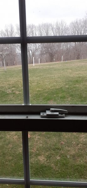 20200318_190317.jpg