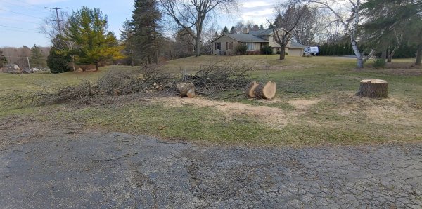 20200325_170014_HDR.jpg