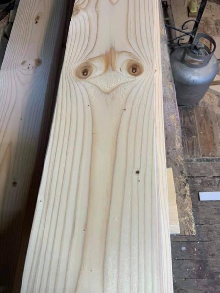 Ostrich wood.jpg