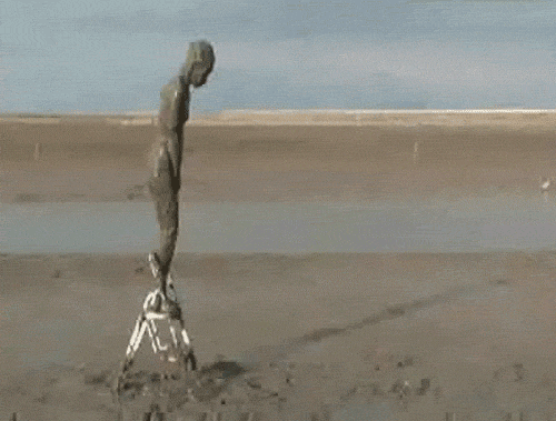 giphy (2).gif