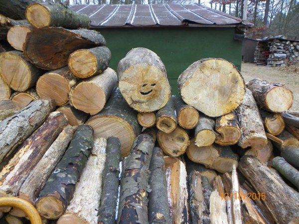 Smiley wood 2015.JPG