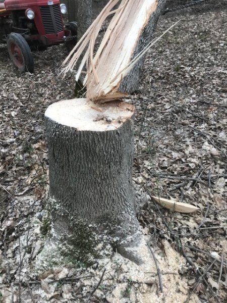 barber slight pull2.jpg