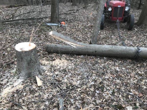 barber pulled over.jpg