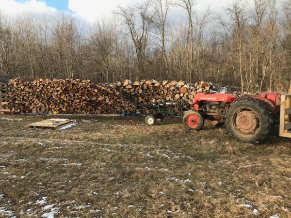 Pasture splitting 1.jpg