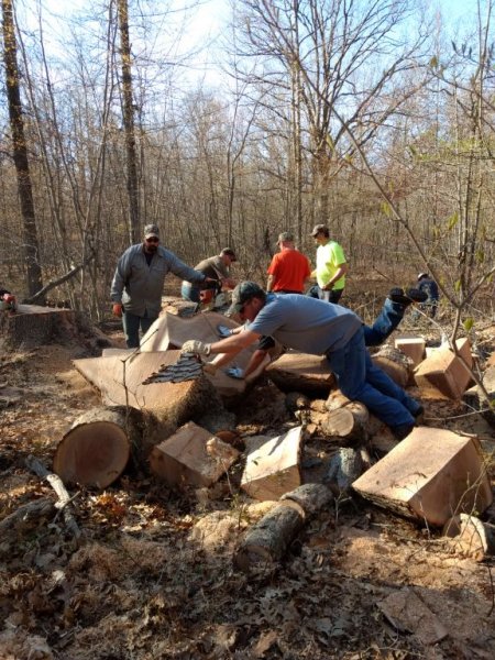Working on the oak.jpg