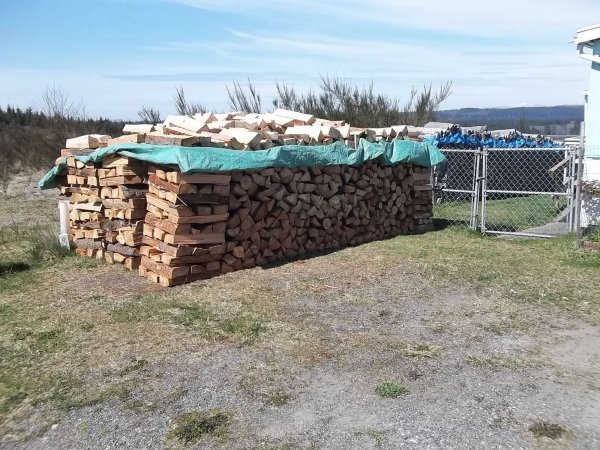 April 12 2020 (2).JPG