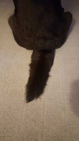 20190307_203346.jpg