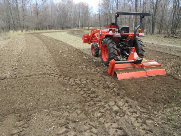 Tilling food plot-1.JPG