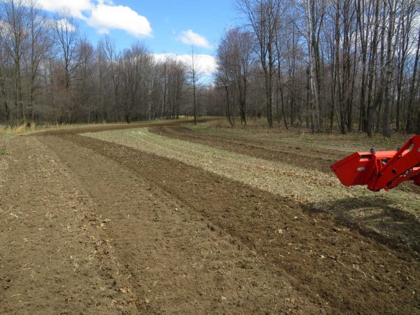 Tilling food plot-2.JPG