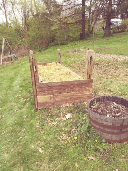 raised bed 2.jpg