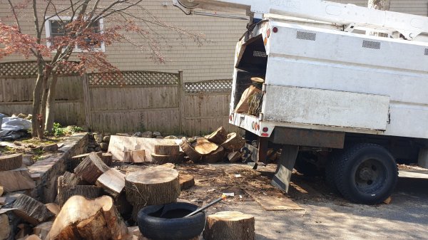 2020-04-15 10.35.35.jpg