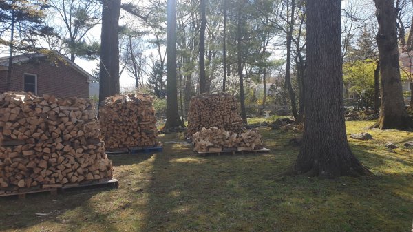 2020-04-16 10.27.36.jpg