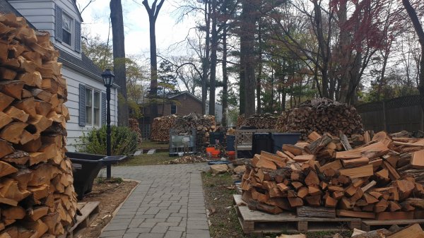 2020-04-22 10.48.50.jpg