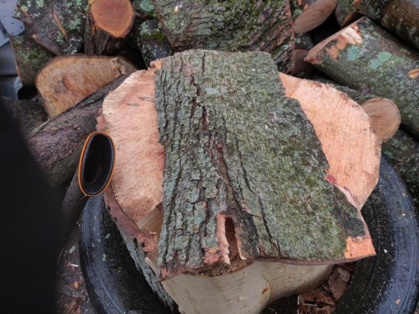 2020-04-26 11.33.51.jpg