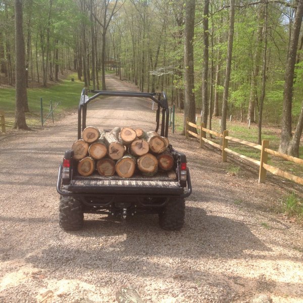 Cutting Hickory... Firewood Hoarders Club