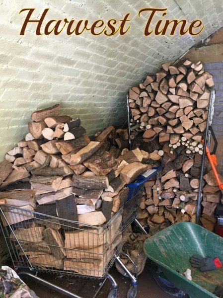 harvest.jpg