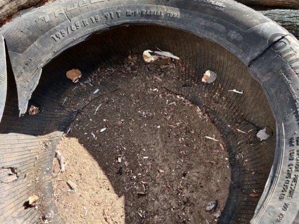 2020-05-07 17.29.28.jpg