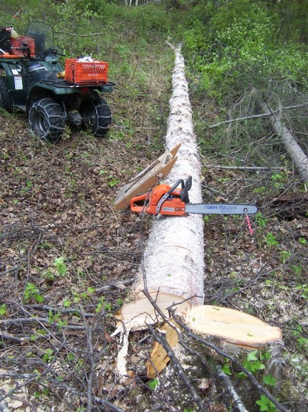 Mark-log1.JPG