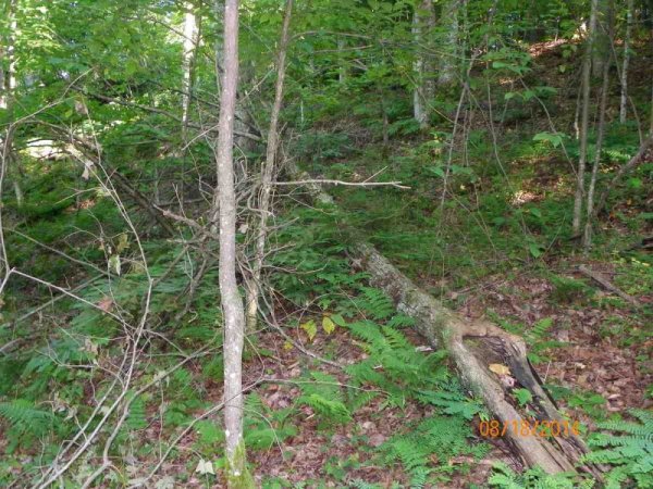 100_9855.JPG