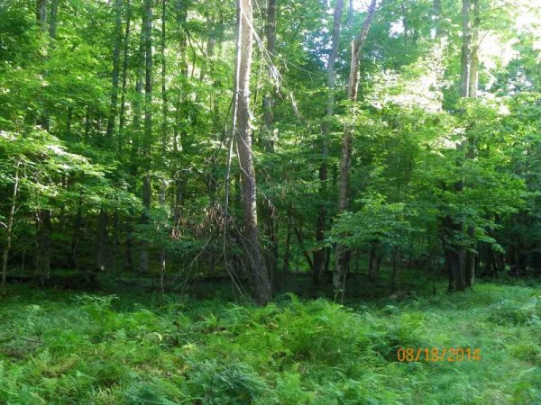 100_9857.JPG
