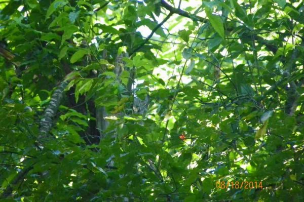 100_9859.JPG