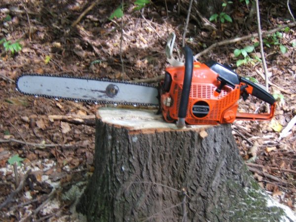 Firewood Ramblings 015.jpg