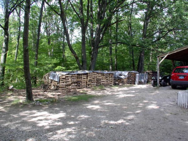 Woodpile 6-13-06-b.JPG