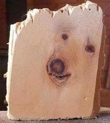 Wood dog.JPG