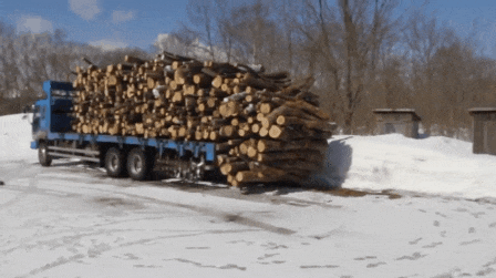 giphy (1) (3).gif