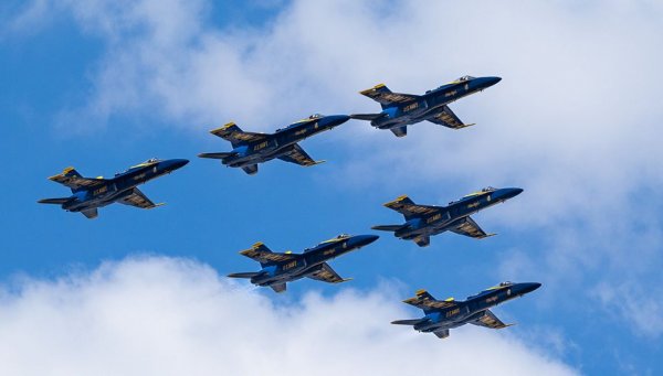 Blue Angels flyover for Covid nurses.jpg