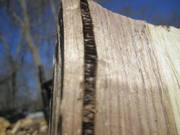 IMG_1976.JPG