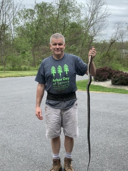 Snake_jpeg.jpg