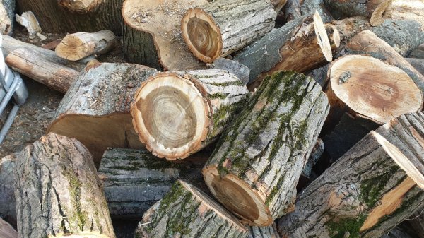 2020-05-20 18.34.50.jpg