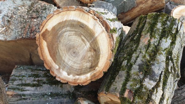 2020-05-20 18.34.53.jpg