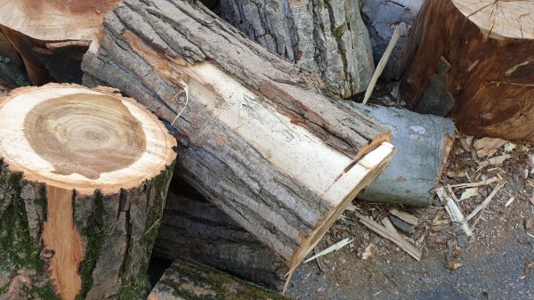 2020-05-20 18.34.58.jpg