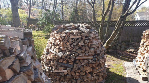 2020-04-16 10.27.30.jpg