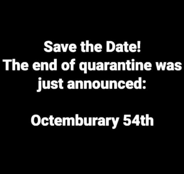 98597400_3311251495563027_2018192728524849152_n.jpg