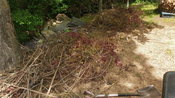 2020-05-27 11.51.26.jpg