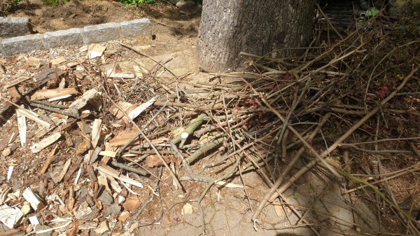 2020-05-27 11.51.27.jpg