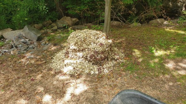 2020-05-27 13.01.20.jpg