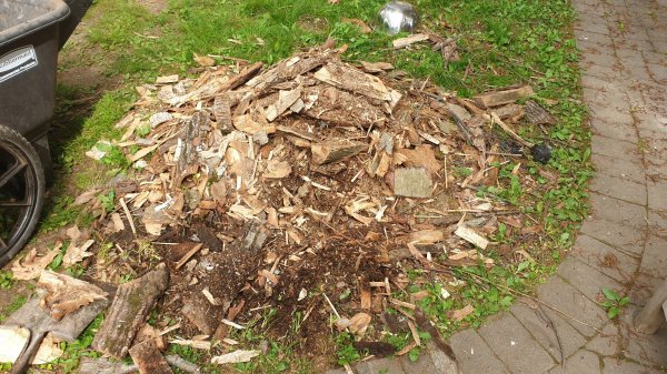 2020-05-27 15.54.33.jpg