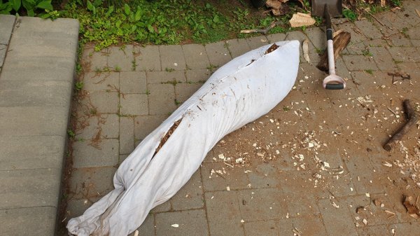 2020-05-27 16.23.05.jpg