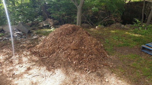 2020-05-27 17.03.59.jpg