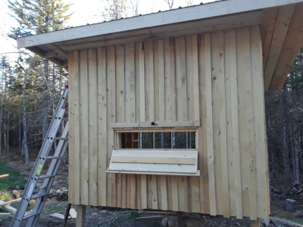 front side nesting box window.jpg