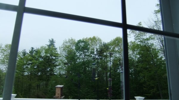 DSCF1448.JPG