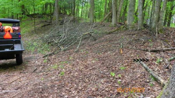 104_0458.JPG
