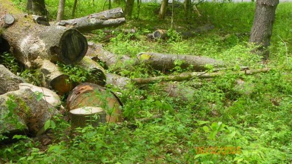 104_0469.JPG