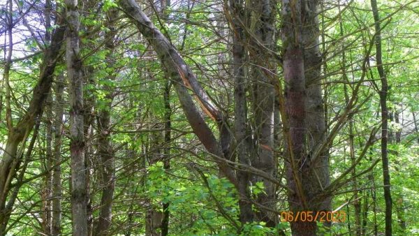 104_0486.JPG