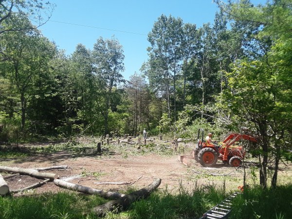 20200606_133534.jpg